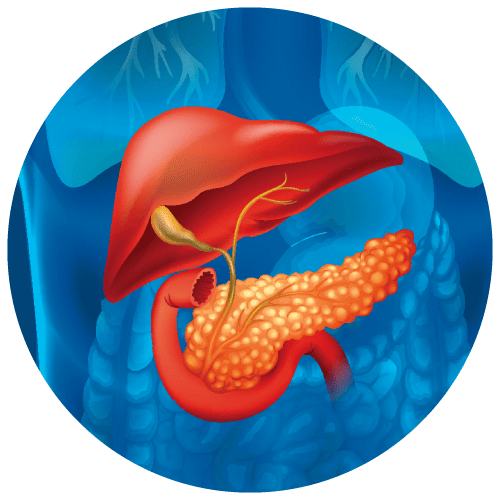 Gastrointestinal Surgery Lucknow